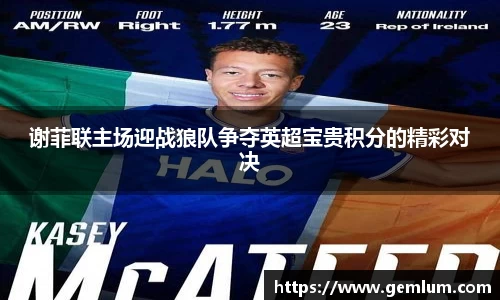 谢菲联主场迎战狼队争夺英超宝贵积分的精彩对决